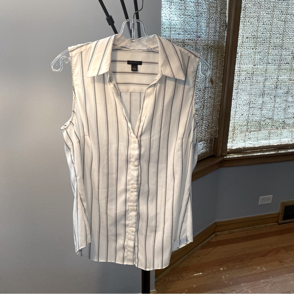 Ann Taylor l light blue lines